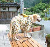 盲導犬の服（夏用）